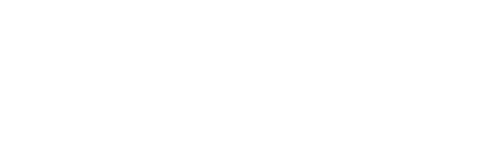 BlueWire